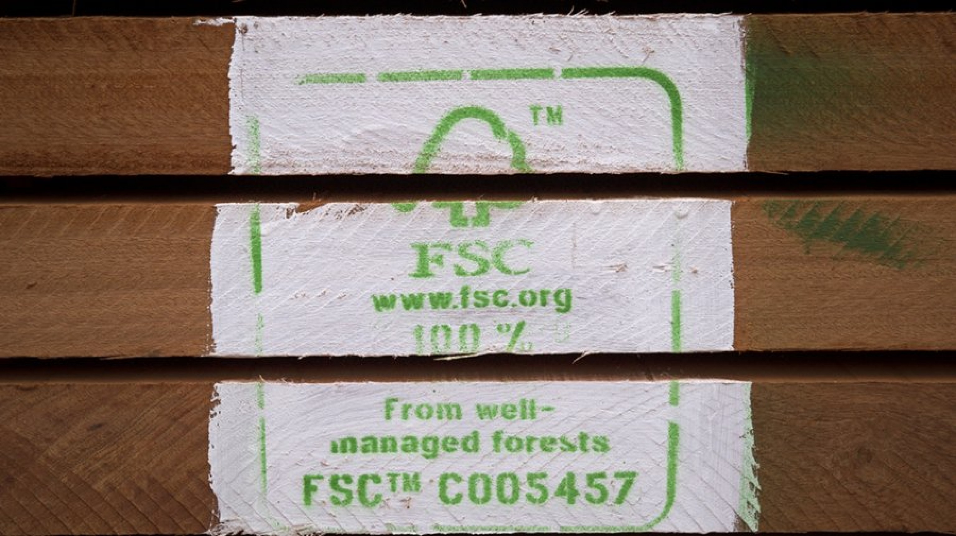 加蓬宣布于2022年全面实现林场FSC认证 | Forest Stewardship Council