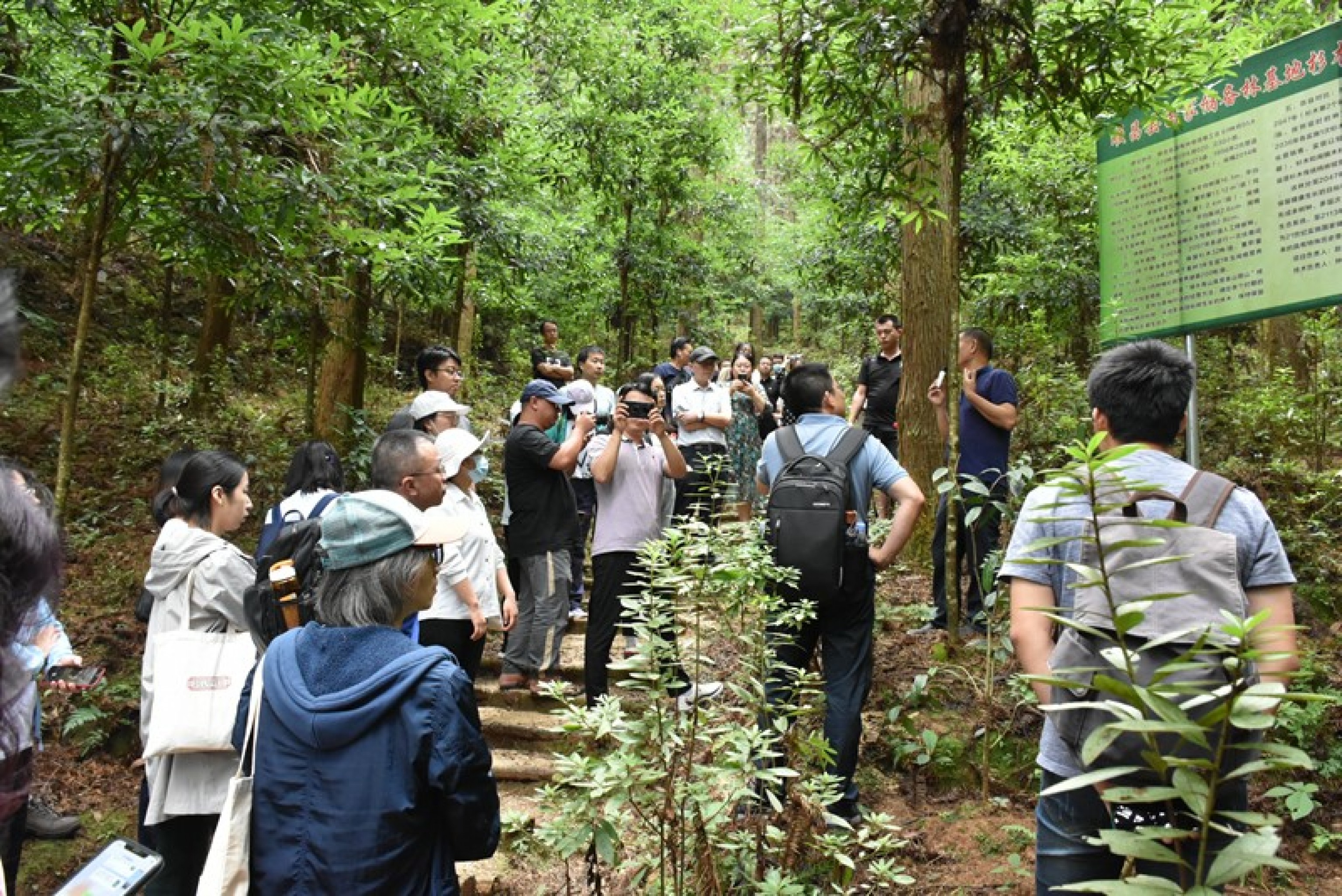 中国首个FSC生态系统服务认证获批 | Forest Stewardship Council