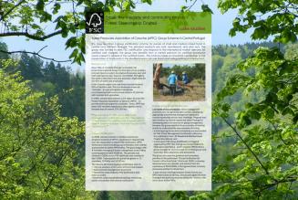 apfc-portugal-case-study