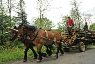 FSC - Juan Carlos Reyes_20050816fscpolonia (94)