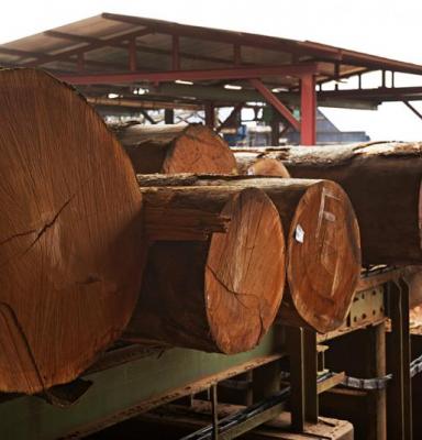 wood